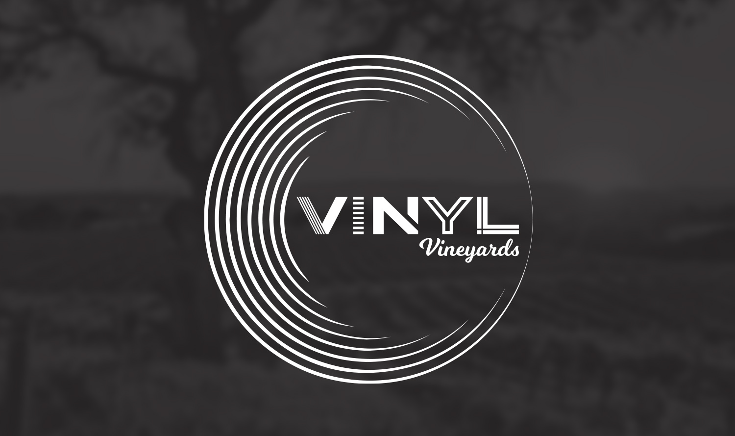 Vinyl Vineyards Main Portfolio Image